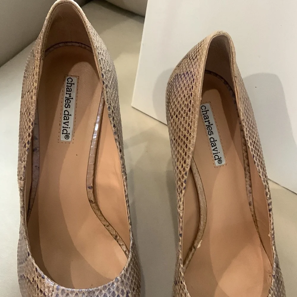 Charles David taupe iridescent platform pump. Style is Regal. Size 9. - Picture 3 of 10